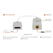 iFi Audio Go Link Hi-Res USB DAC + Headphone AMP - Rapallo