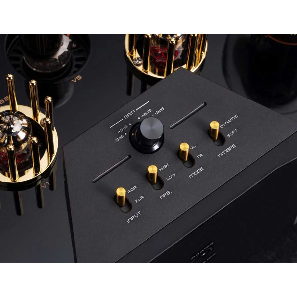 Cayin Soul 170P Class A KT170 Tube Power Amplifier - Rapallo