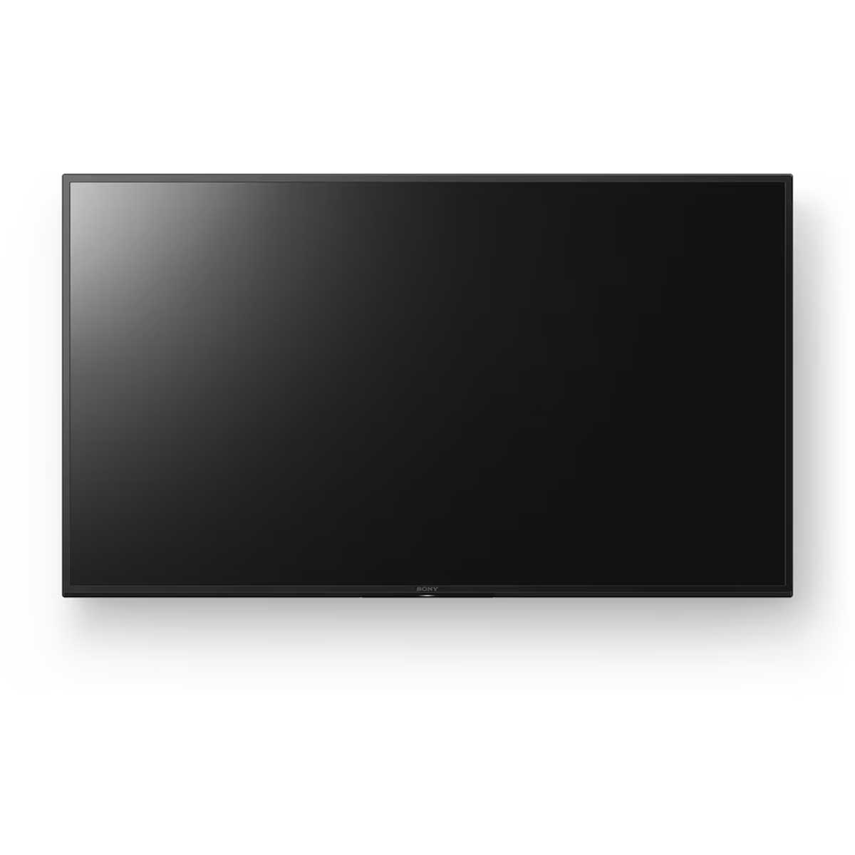 Sony BRAVIA EZ20L Series 4K HDR Display - Rapallo