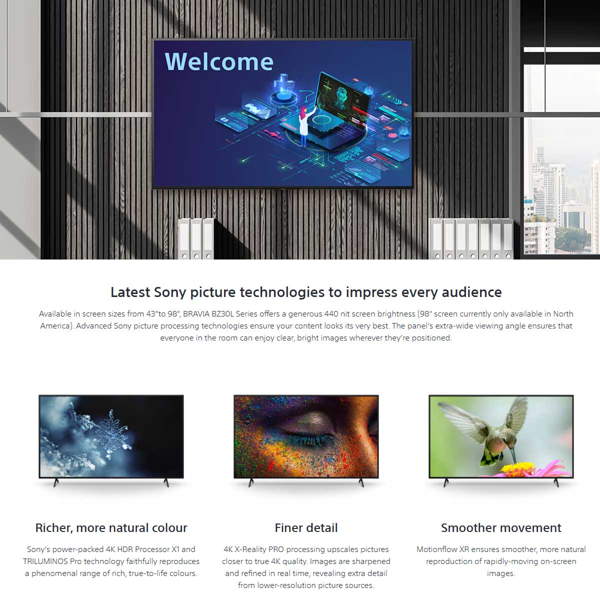 Sony BRAVIA BZ30L Series 4K HDR Display - Rapallo