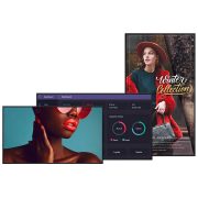 Sony BRAVIA BZ40L Series 4K Ultra HD HDR Display - Rapallo