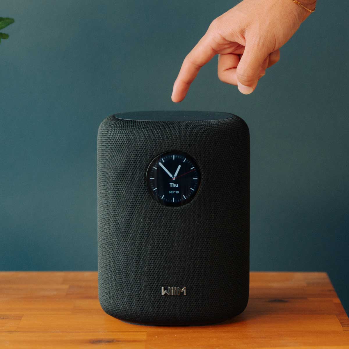 WiiM Sound Powered Speaker - Rapallo